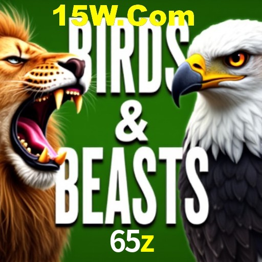 65z casino